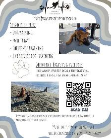dog training