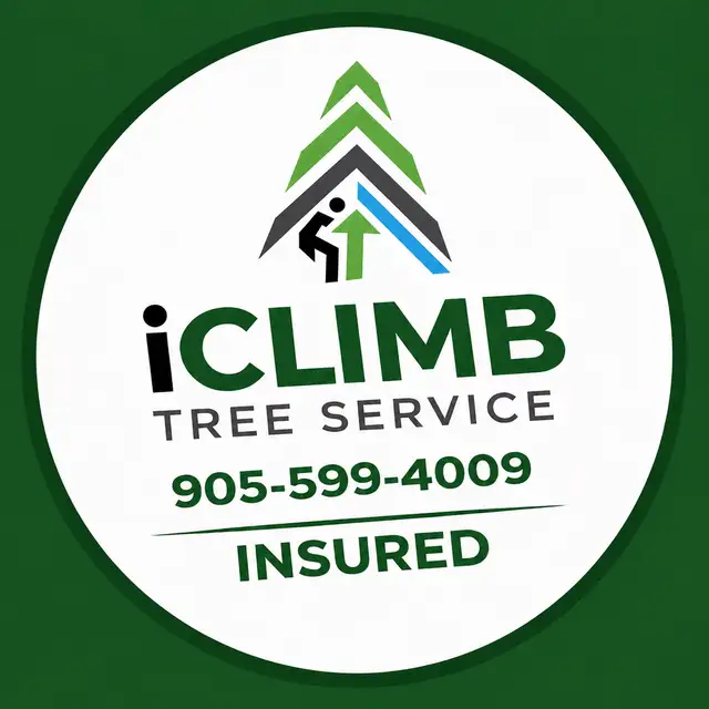 IClimb Tree Service | Fully Insured | 5-Star Reviews | Tree Remo