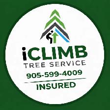 IClimb Tree Service | Fully Insured | 5-Star Reviews | Tree Remo