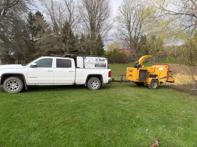 IClimb Tree Service | Fully Insured | 5-Star Reviews | Tree Remo - Photo 2
