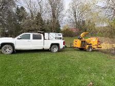 IClimb Tree Service | Fully Insured | 5-Star Reviews | Tree Remo - Photo 2