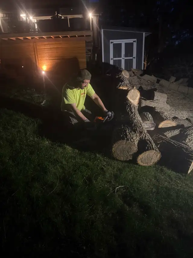 IClimb Tree Service | Fully Insured | 5-Star Reviews | Tree Remo - Photo 3
