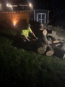 IClimb Tree Service | Fully Insured | 5-Star Reviews | Tree Remo - Photo 3