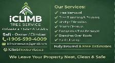 IClimb Tree Service | Fully Insured | 5-Star Reviews | Tree Remo - Photo 5