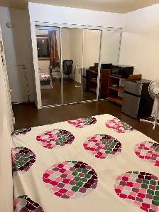 Room (prime) with a washroom on the 2nd floor - Photo 8