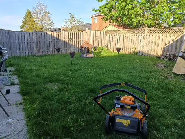 SameDay Grass Cutting