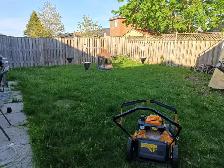 SameDay Grass Cutting