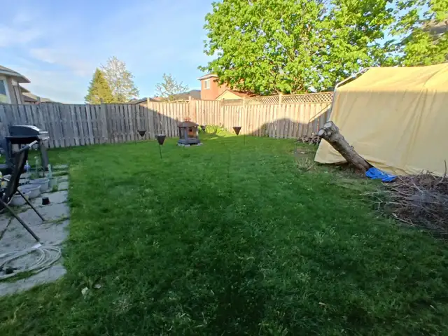 SameDay Grass Cutting - Photo 2