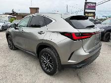 2022 Lexus NX NX 350h AWD - Photo 4
