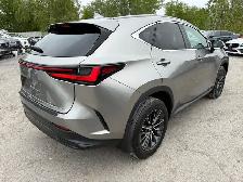 2022 Lexus NX NX 350h AWD - Photo 6