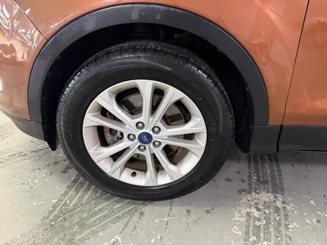 2017 Ford Escape 4WD 4dr SE, 13 DEALER SERVICE RECORDS - Photo 6