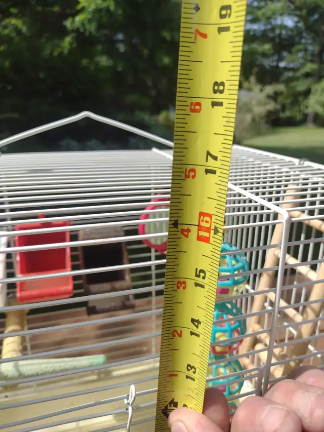 Bird cage - Photo 3