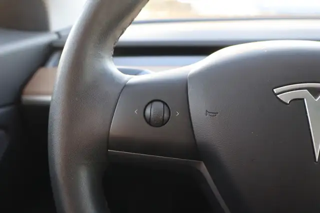 2020 Tesla Model 3 - Photo 19