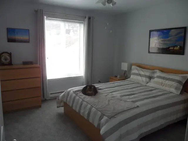 Sherbrooke Nord 4 1/2 Style condo à 1200$ par mois, 1er JUILLET - Photo 9
