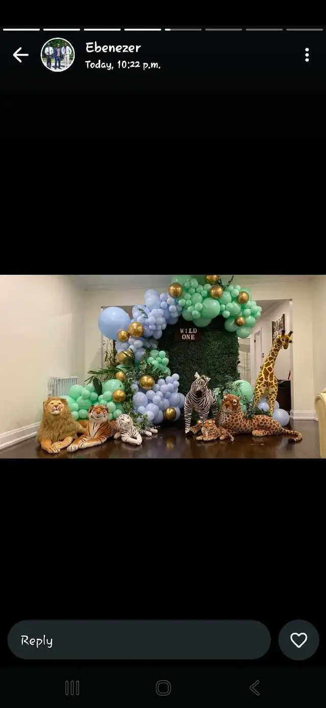 Baby Shower Package - Photo 3