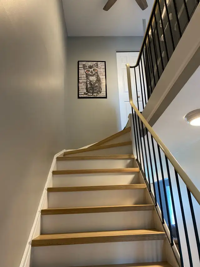 3 room available 01 Jun - Photo 5