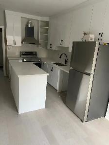 Large renovated one bedroom (whole main floor!) in Roncesvalles - Photo 3