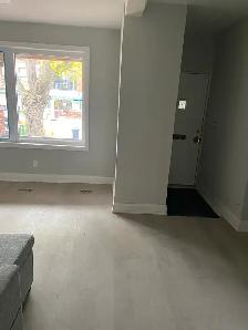 Large renovated one bedroom (whole main floor!) in Roncesvalles - Photo 5