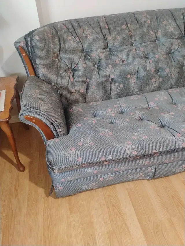 Full Size Couch - Photo 2