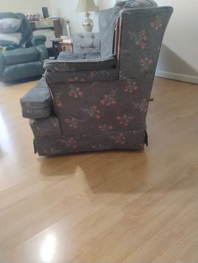 Full Size Couch - Photo 4