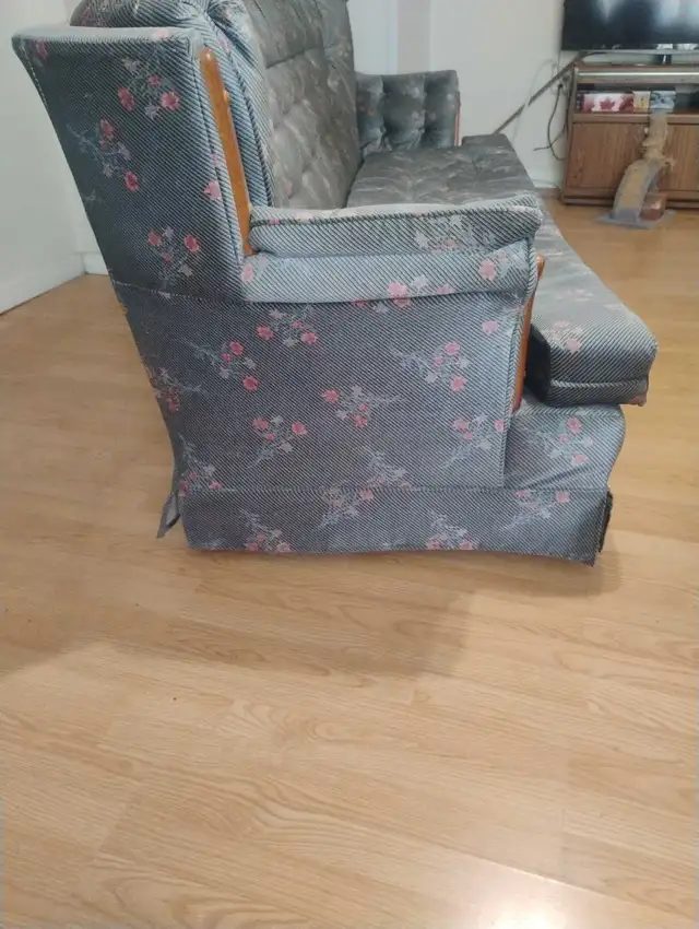 Full Size Couch - Photo 5