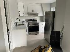 Newly Renovated Furnished Studios & 1BR in Roncesvalles - Photo 5