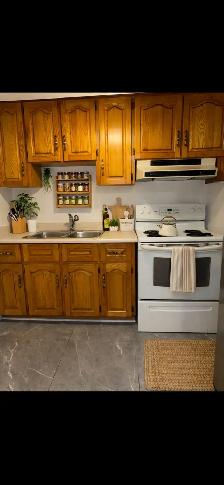 High Park Blvd-Roncesvalles Beautiful Spacious 1 Bdrm - Photo 4