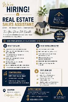 Real estate Assistant
