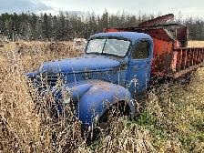 various old trucks
