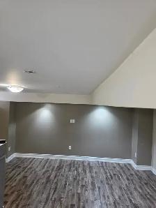Basement Apartment For Rent 1 Bedroom