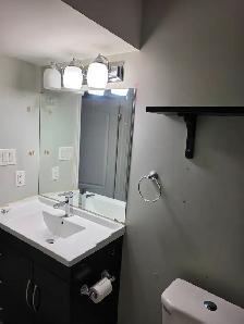 Basement Apartment For Rent 1 Bedroom - Photo 2