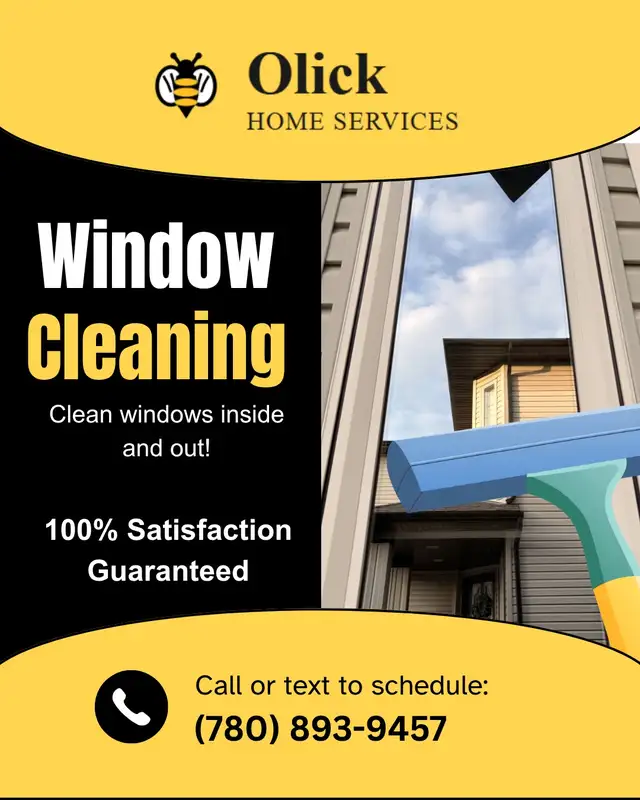 Professional Window Cleaning