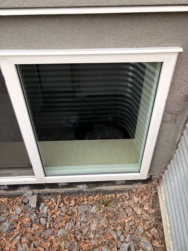 Professional Window Cleaning - Photo 3