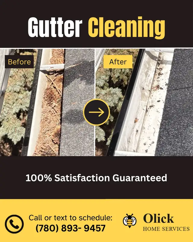 Professional Gutter Cleaning