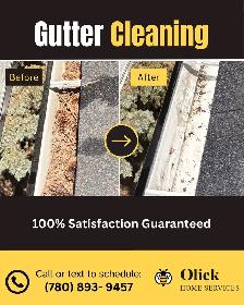 Professional Gutter Cleaning