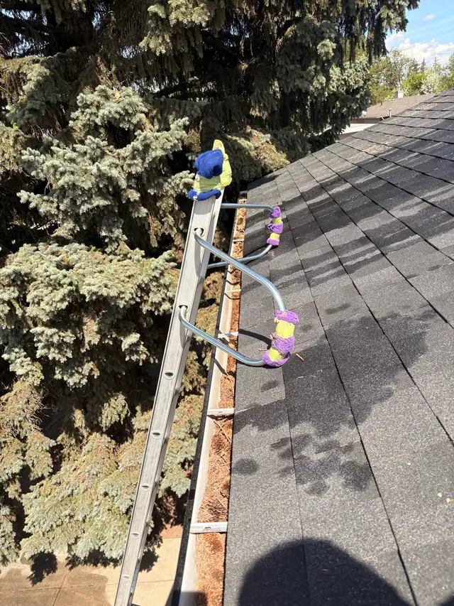 Professional Gutter Cleaning - Photo 2