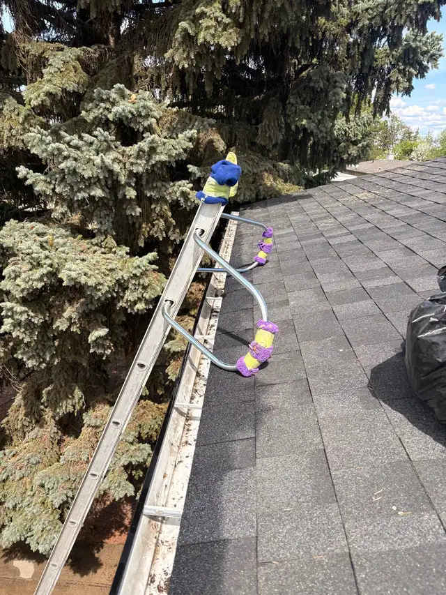 Professional Gutter Cleaning - Photo 3