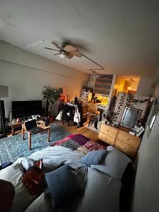 studio,metro laurier/juillet - Photo 2