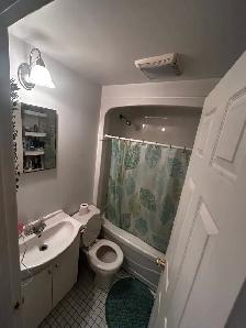 studio,metro laurier/juillet - Photo 4