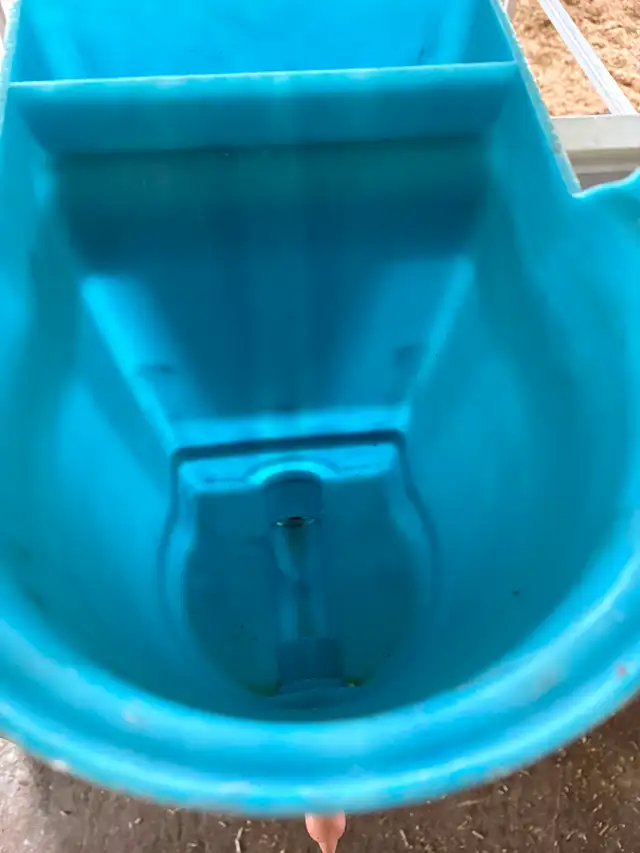Calf Peach Teat nipple buckets - Photo 2