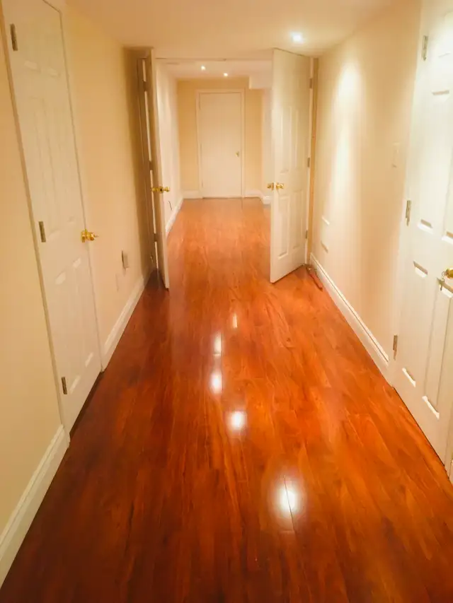 Rent 1 Bedroom basement apartment Brampton, Torbram/Sandalwood - Photo 3