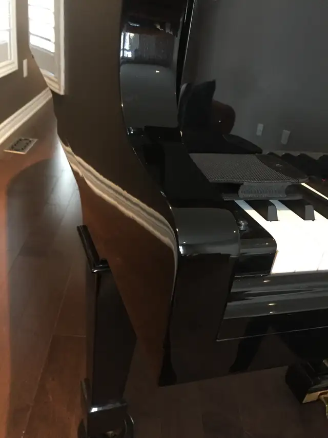 PIANO TUNING, REPAIR. POLYESTER REPAIR. PIANOS FOR SALE - Photo 8