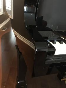 PIANO TUNING, REPAIR. POLYESTER REPAIR. PIANOS FOR SALE - Photo 8