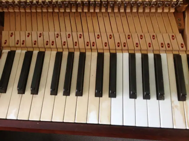 PIANO TUNING, REPAIR. POLYESTER REPAIR. PIANOS FOR SALE - Photo 10