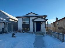 2 bedroom Basement suite in Taradale ne for rent.