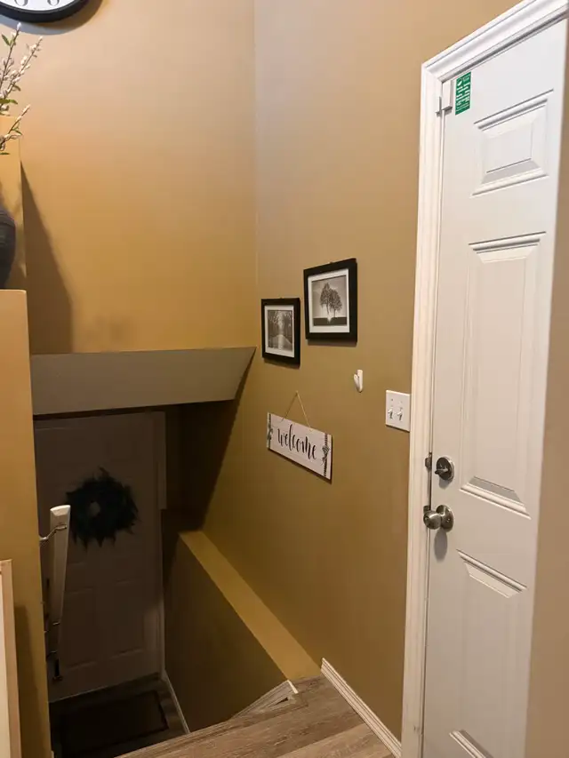 2 bedroom Basement suite in Taradale ne for rent. - Photo 3