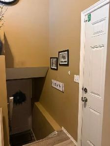 2 bedroom Basement suite in Taradale ne for rent. - Photo 3