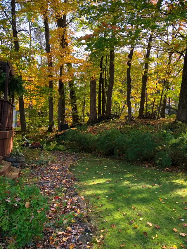 Deeded Access to Lake Muskoka - Photo 15