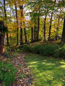 Deeded Access to Lake Muskoka - Photo 15