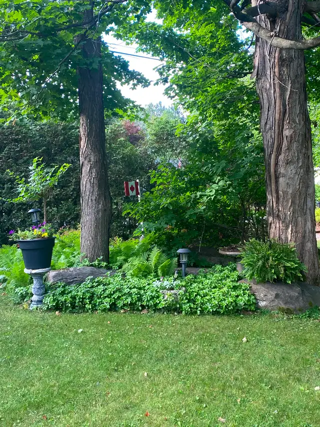 Deeded Access to Lake Muskoka - Photo 16